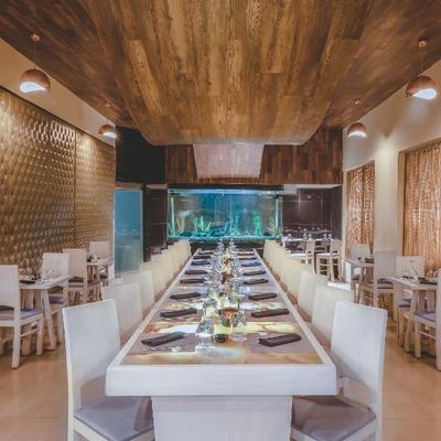 Suki  Desire Riviera Maya Resort Puerto Morelos Suki  Desire Riviera Maya Resort Puerto Morelos